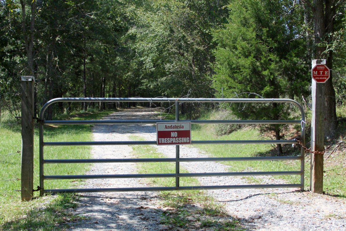 Chasing Georgia Ghosts