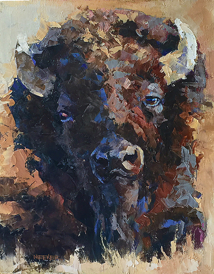 bison 8 x 10